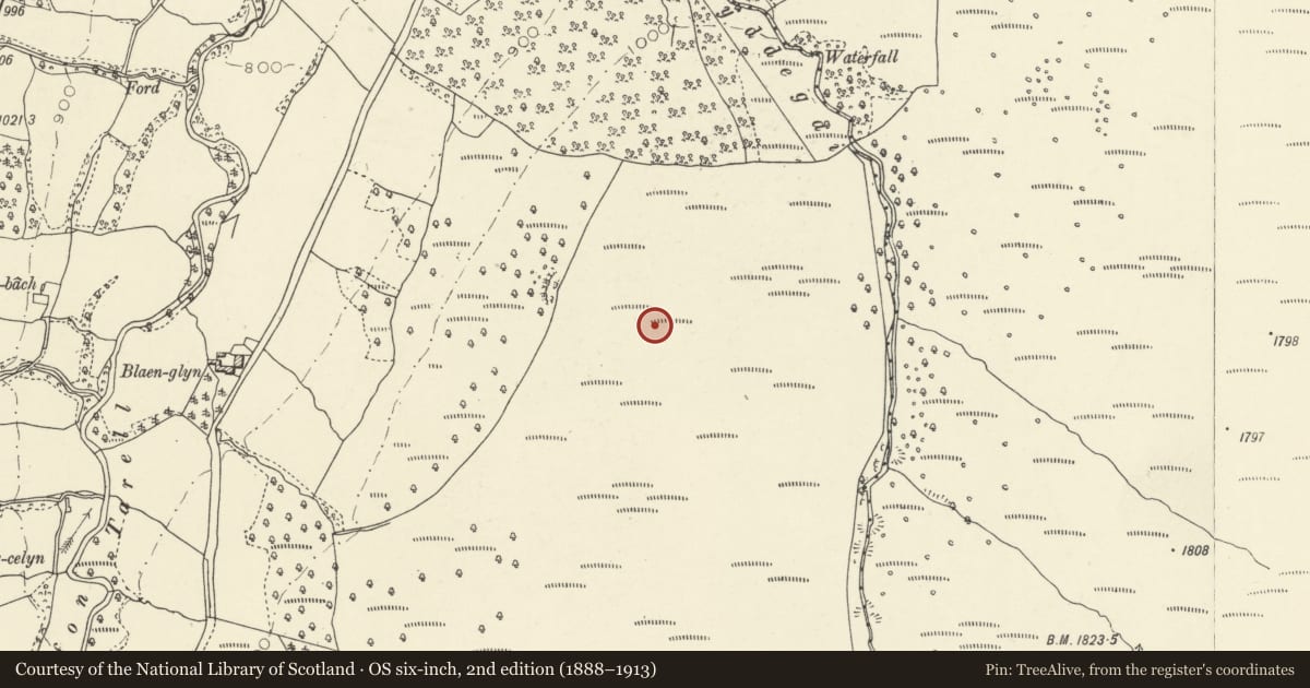 Ordnance Survey six-inch map, 2nd edition (1888–1913) covering the location of Y Gyrn hut platform (N), Glyn Tarell, Powys, with a pin at the register's coordinates