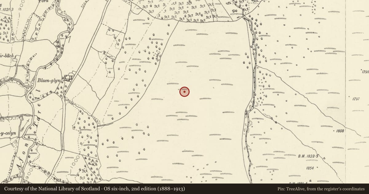 Ordnance Survey six-inch map, 2nd edition (1888–1913) covering the location of Y Gyrn longhuts, Glyn Tarell, Powys, with a pin at the register's coordinates