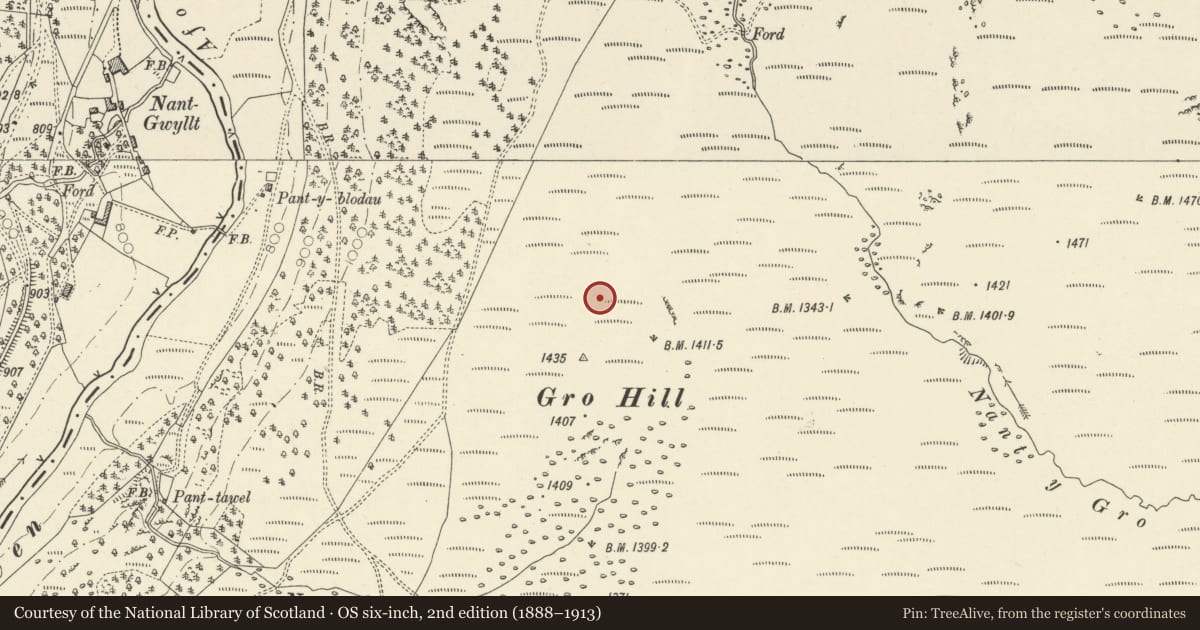 Ordnance Survey six-inch map, 2nd edition (1888–1913) covering the location of Round Cairn to NW of Gro Hill, Llanwrthwl, Powys, with a pin at the register's coordinates