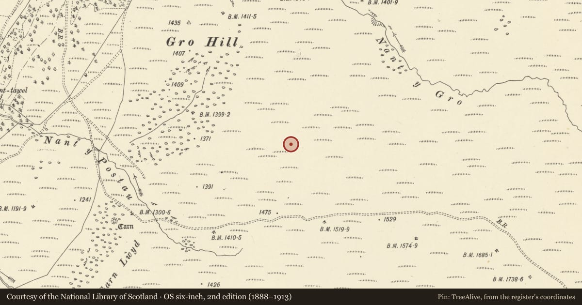 Ordnance Survey six-inch map, 2nd edition (1888–1913) covering the location of Gro Hill round cairn, Llanwrthwl, Powys, with a pin at the register's coordinates