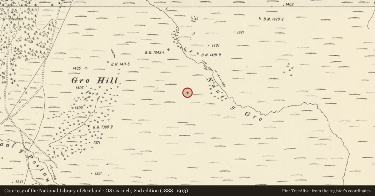 Ordnance Survey six-inch map, 2nd edition (1888–1913) covering the location of Gro Hill cairn cemetery, Llanwrthwl, Powys, with a pin at the register's coordinates