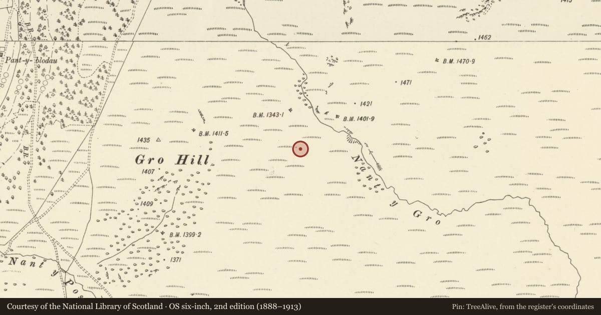 Ordnance Survey six-inch map, 2nd edition (1888–1913) covering the location of Nant y Gro round cairn, Llanwrthwl, Powys, with a pin at the register's coordinates