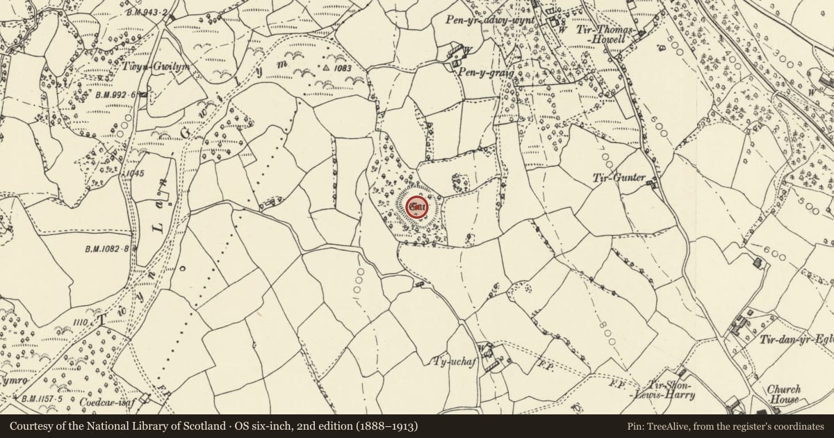 Ordnance Survey six-inch map, 2nd edition (1888–1913) covering the location of Defended Enclosure 350m NNW of Ty-Uchaf, Llanelly, Monmouthshire, with a pin at the register's coordinates