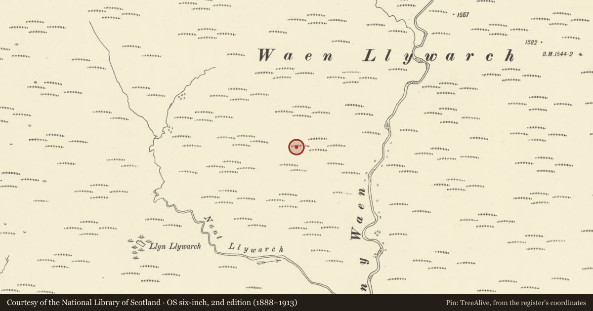 Ordnance Survey six-inch map, 2nd edition (1888–1913) covering the location of Ton Teg Hut Settlement, Ystradfellte, Powys, with a pin at the register's coordinates