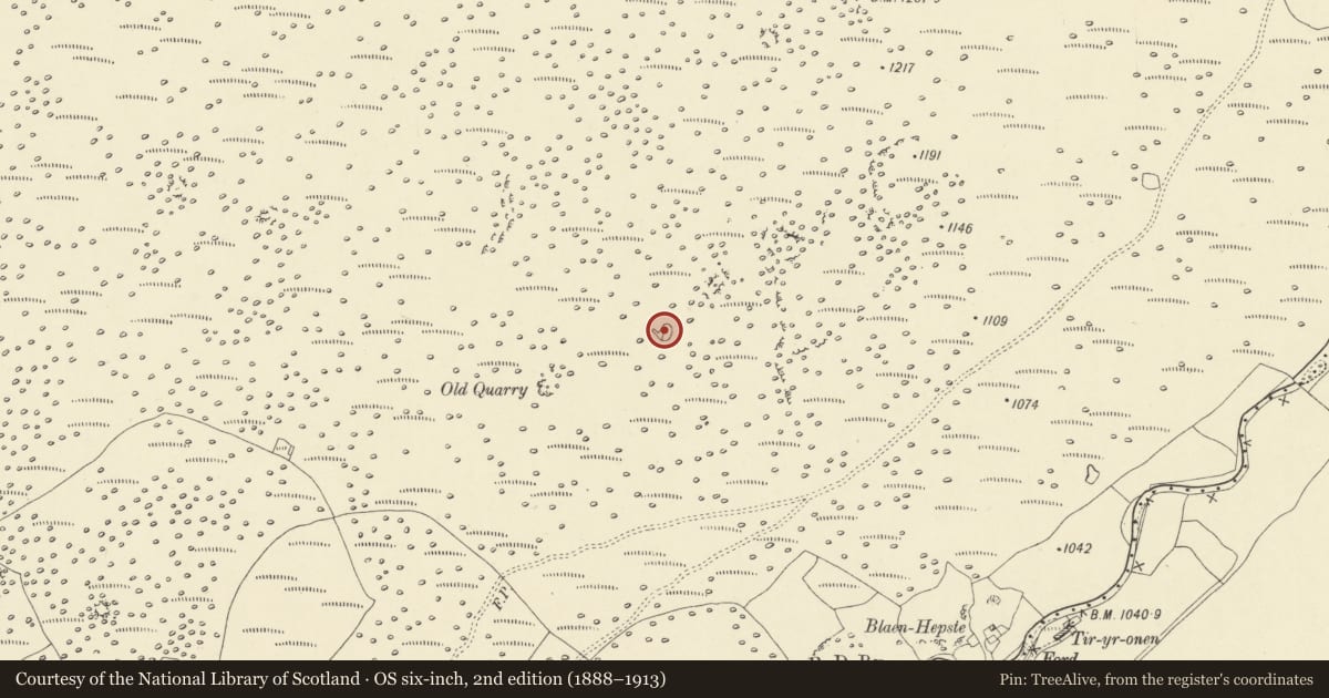 Ordnance Survey six-inch map, 2nd edition (1888–1913) covering the location of Mynydd y Garn Lluest West, Ystradfellte, Powys, with a pin at the register's coordinates