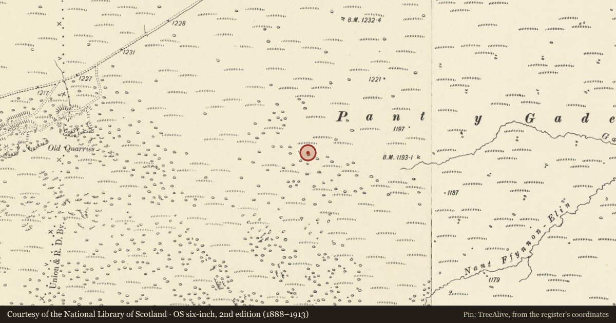 Ordnance Survey six-inch map, 2nd edition (1888–1913) covering the location of Pant-y-Gadair Hut Circle Settlement, Hirwaun, Rhondda Cynon Taff, with a pin at the register's coordinates