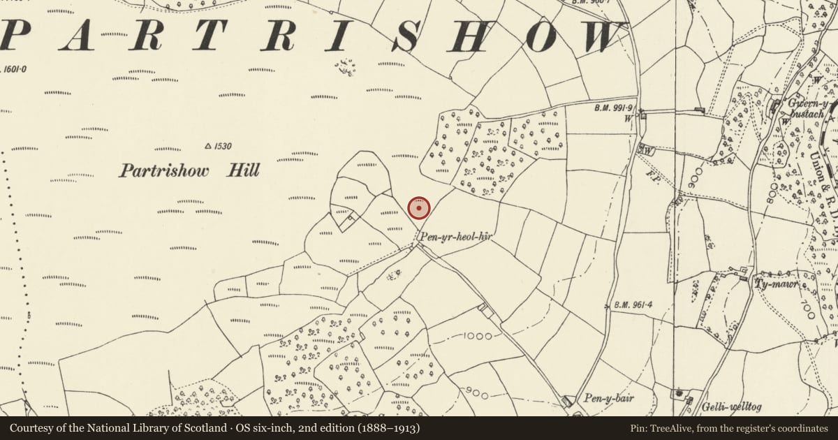 Ordnance Survey six-inch map, 2nd edition (1888–1913) covering the location of Two platform buildings on eastern side of Partrishow Hill, The Vale of Grwyney, Powys, with a pin at the register's coordinates