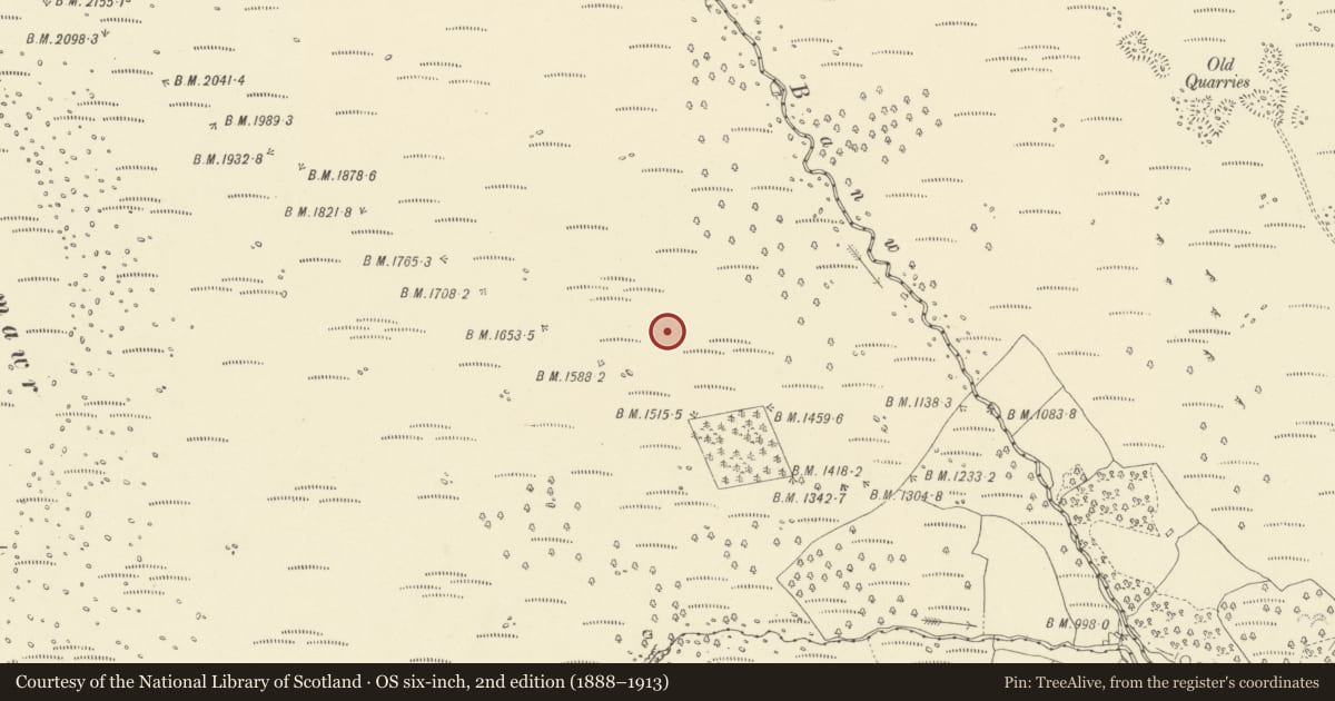 Ordnance Survey six-inch map, 2nd edition (1888–1913) covering the location of Kidney-shaped enclosure 1km SE of Pen Allt-Mawr, Cwm Banw, Llanfihangel Cwmdu with Bwlch and Cathedine, Powys, with a pin at the register's coordinates