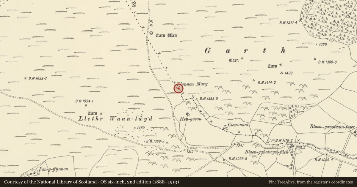 Ordnance Survey six-inch map, 2nd edition (1888–1913) covering the location of Ffynnon Mary Burnt Mound 300m SE of Carn Wen, Llanwrthwl, Powys, with a pin at the register's coordinates