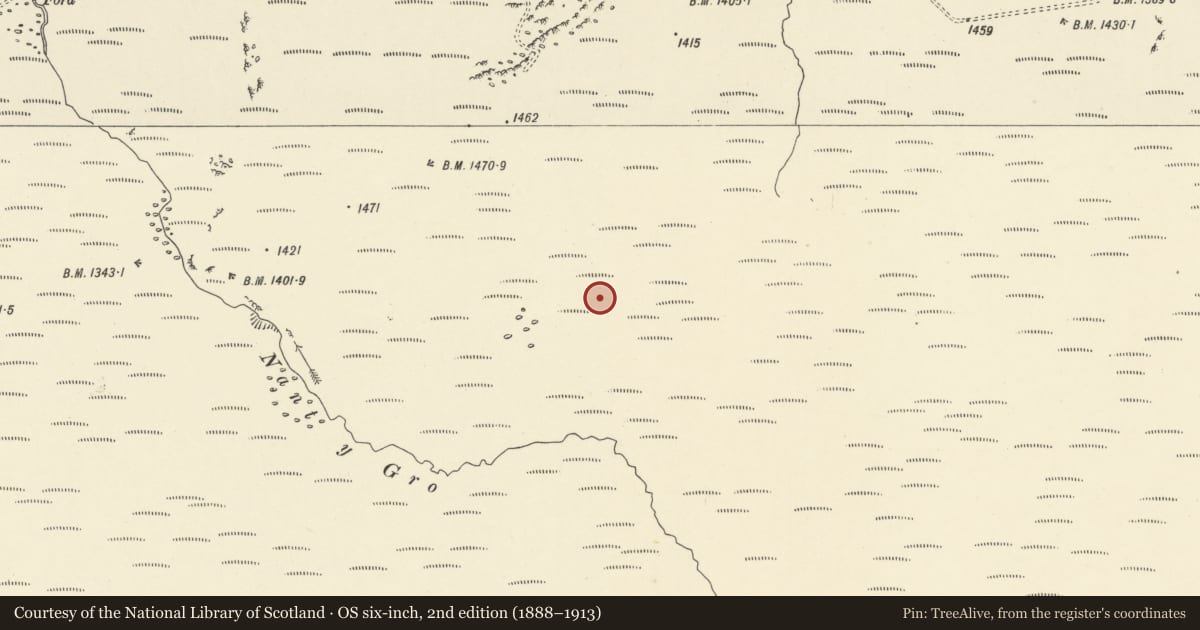 Ordnance Survey six-inch map, 2nd edition (1888–1913) covering the location of Recumbent Standing Stone 100m E of Crugian Bach Stone Circle, Llanwrthwl, Powys, with a pin at the register's coordinates