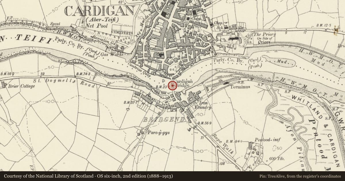 Ordnance Survey six-inch map, 2nd edition (1888–1913) covering the location of Cardigan Bridge, Ceredigion, with a pin at the register's coordinates