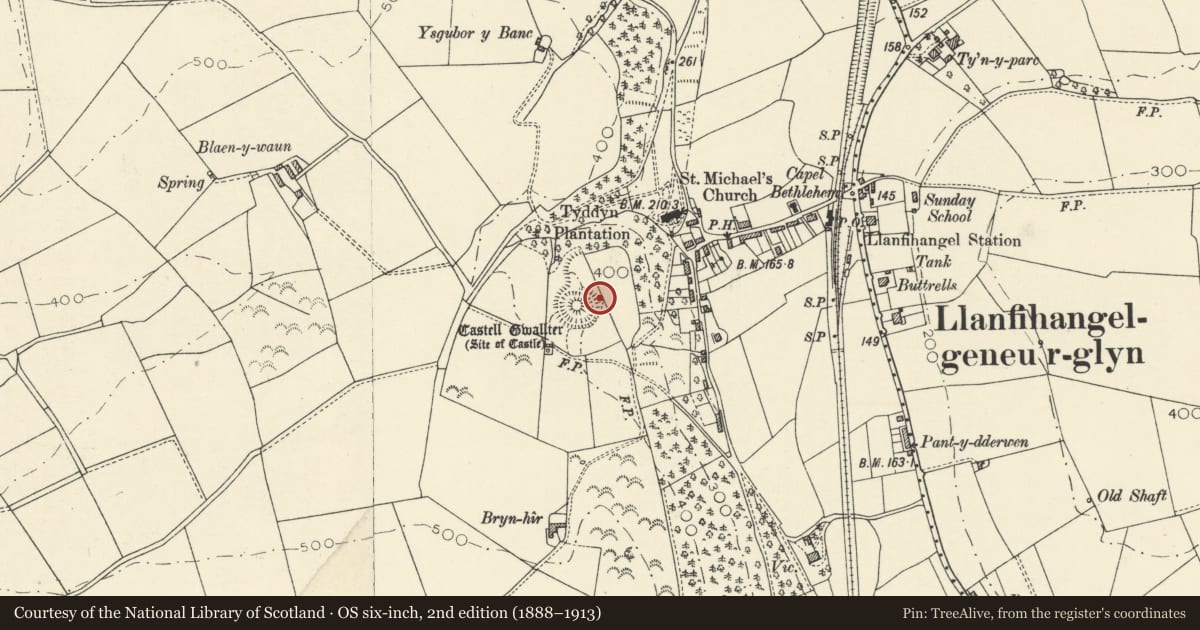 Ordnance Survey six-inch map, 2nd edition (1888–1913) covering the location of Castell Gwallter, Geneu'r Glyn, Ceredigion, with a pin at the register's coordinates
