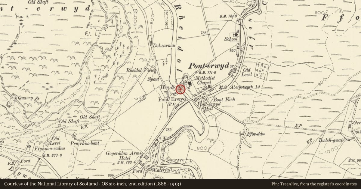 Ordnance Survey six-inch map, 2nd edition (1888–1913) covering the location of Hen Bont, Pont-Erwyd, Blaenrheidol, Ceredigion, with a pin at the register's coordinates
