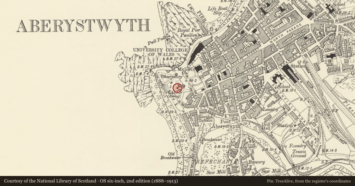 Ordnance Survey six-inch map, 2nd edition (1888–1913) covering the location of Aberystwyth Castle, Ceredigion, with a pin at the register's coordinates