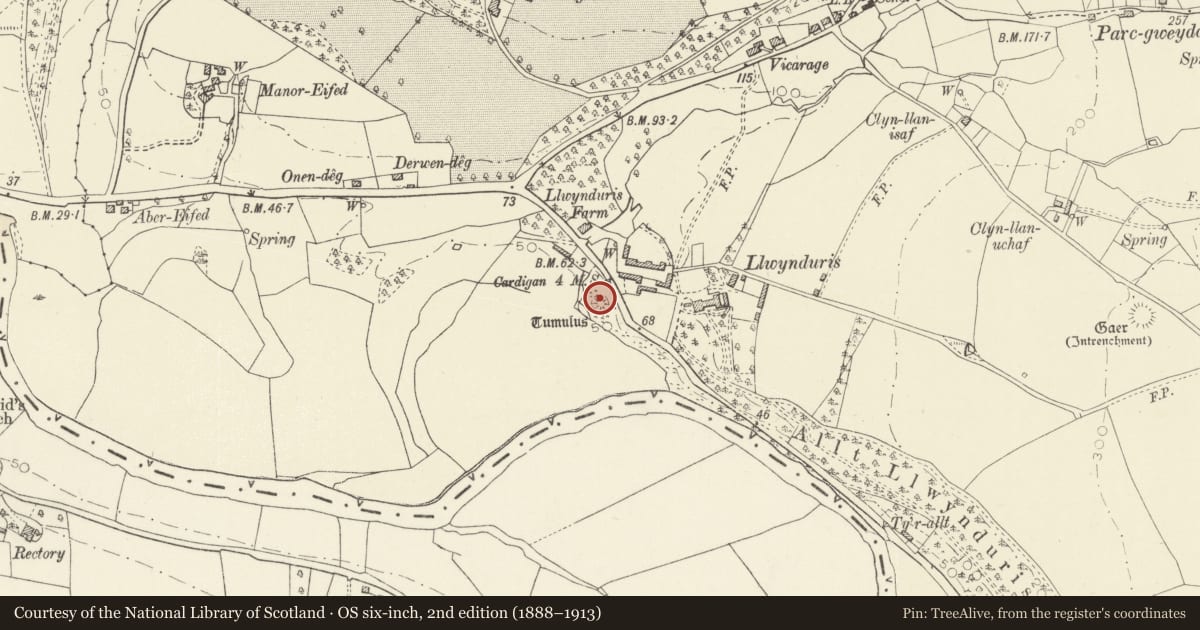Ordnance Survey six-inch map, 2nd edition (1888–1913) covering the location of Llwynduris Castle Mound, Beulah, Ceredigion, with a pin at the register's coordinates