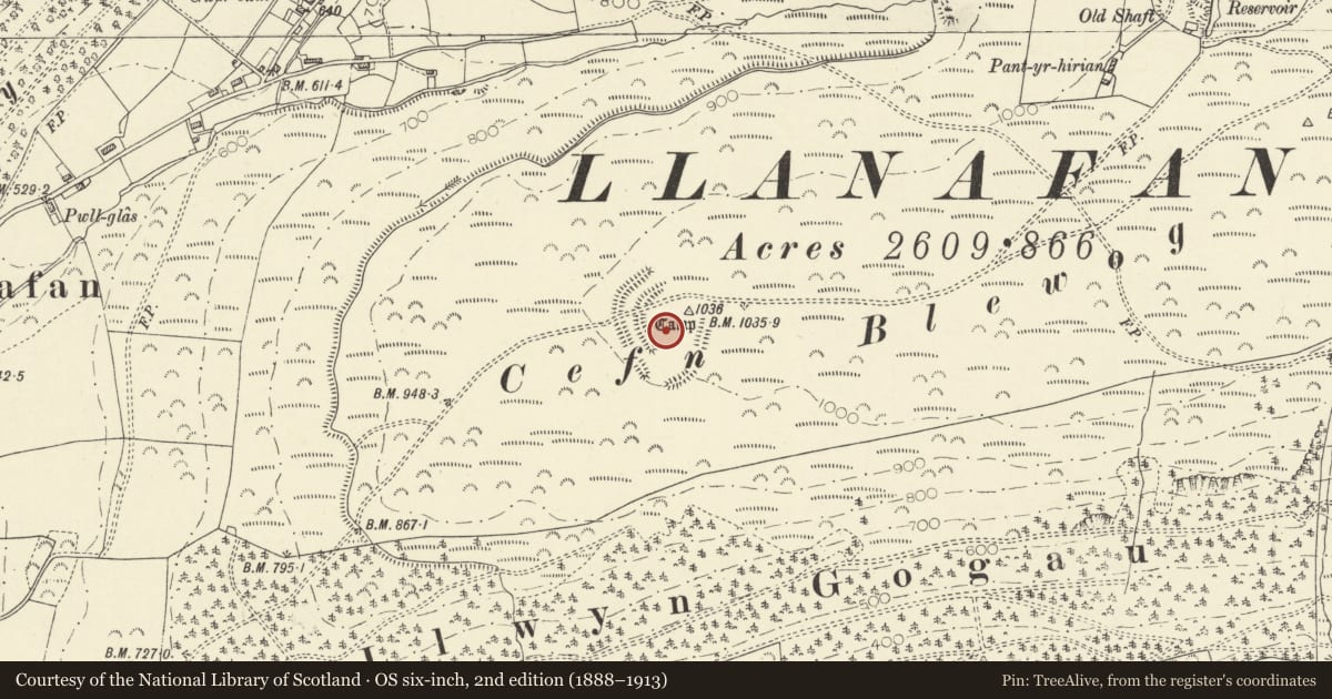 Ordnance Survey six-inch map, 2nd edition (1888–1913) covering the location of Cefn Blewog Camp, Trawsgoed, Ceredigion, with a pin at the register's coordinates