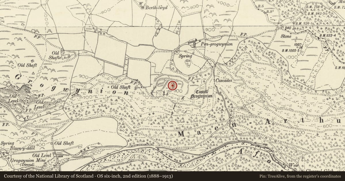 Ordnance Survey six-inch map, 2nd edition (1888–1913) covering the location of Castell Grogwynion, Trawsgoed, Ceredigion, with a pin at the register's coordinates