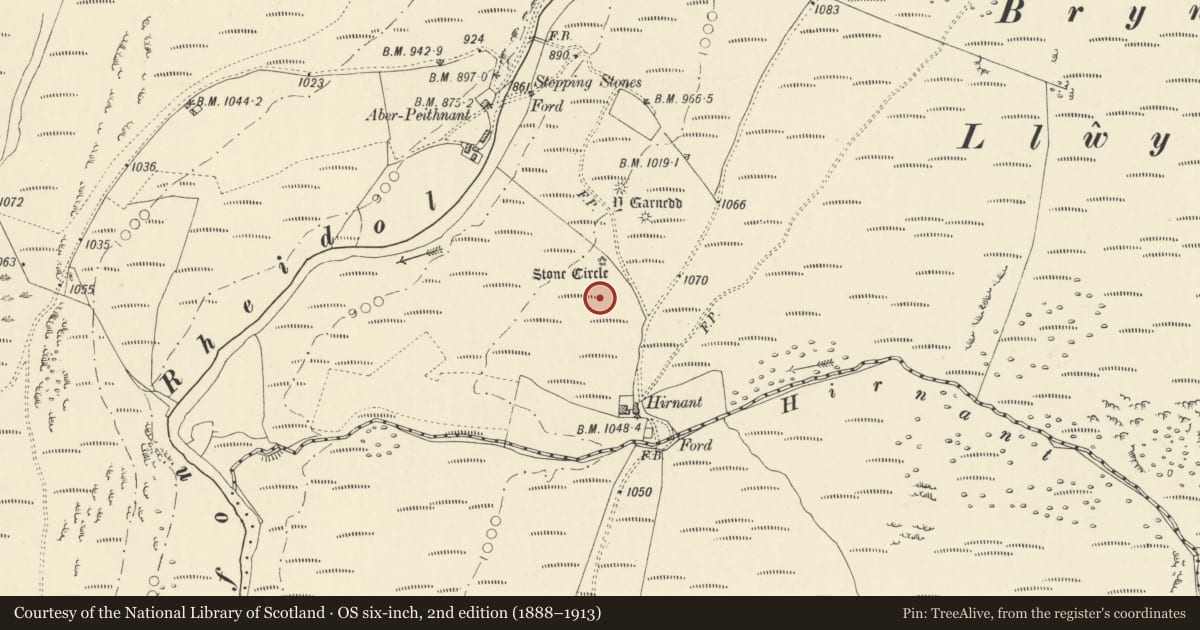 Ordnance Survey six-inch map, 2nd edition (1888–1913) covering the location of Stone Circle and Round Cairns, Hirnant, Blaenrheidol, Ceredigion, with a pin at the register's coordinates