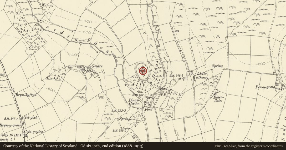 Ordnance Survey six-inch map, 2nd edition (1888–1913) covering the location of Dinas Cerdin, Troedyraur, Ceredigion, with a pin at the register's coordinates