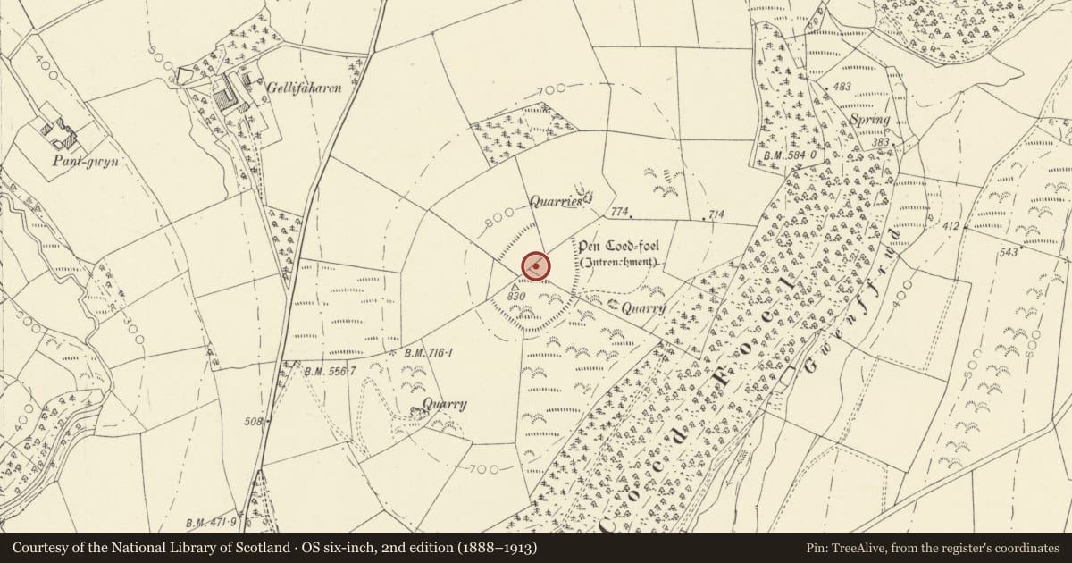 Ordnance Survey six-inch map, 2nd edition (1888–1913) covering the location of Pen Coed-Foel Camp, Llandysul, Ceredigion, with a pin at the register's coordinates