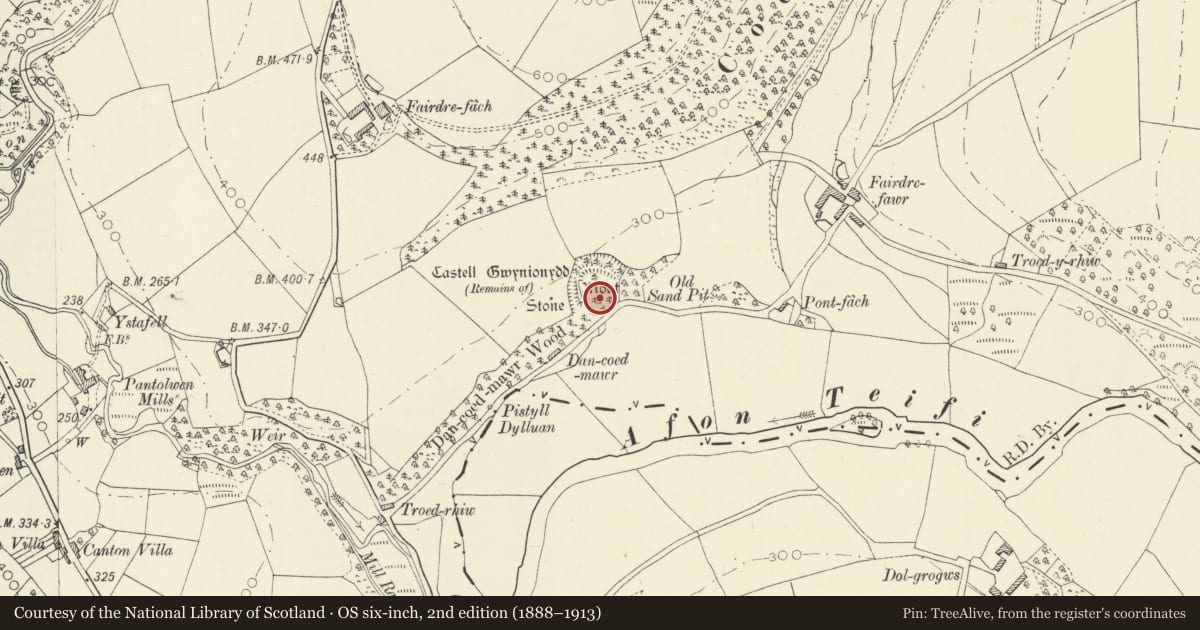 Ordnance Survey six-inch map, 2nd edition (1888–1913) covering the location of Castell Gwynionydd, Llandysul, Ceredigion, with a pin at the register's coordinates