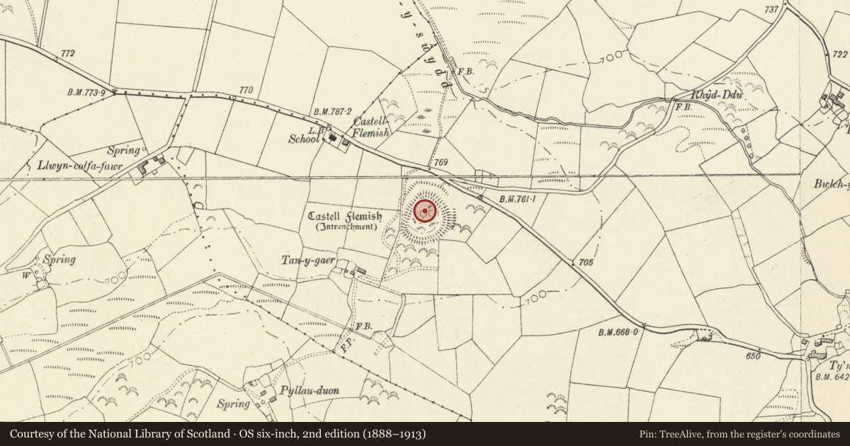 Ordnance Survey six-inch map, 2nd edition (1888–1913) covering the location of Castell Flemish, Tregaron, Ceredigion, with a pin at the register's coordinates