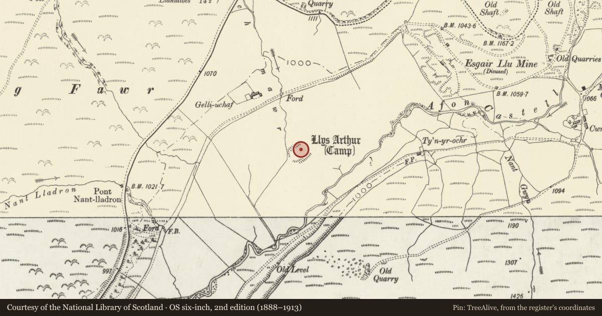 Ordnance Survey six-inch map, 2nd edition (1888–1913) covering the location of Llys Arthur, Dyffryn-Castell, Blaenrheidol, Ceredigion, with a pin at the register's coordinates