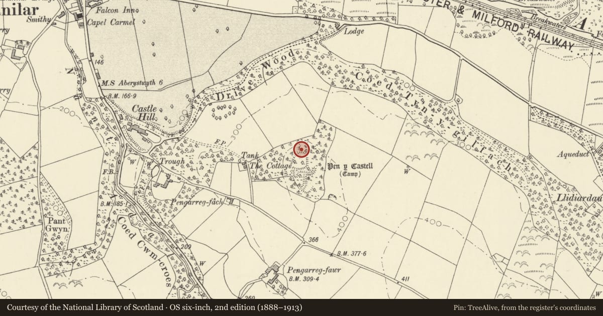 Ordnance Survey six-inch map, 2nd edition (1888–1913) covering the location of Pen-y-Castell Group, Llanilar, Ceredigion, with a pin at the register's coordinates
