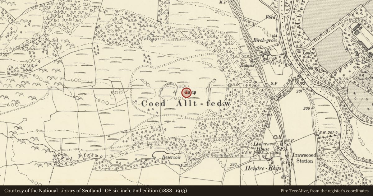 Ordnance Survey six-inch map, 2nd edition (1888–1913) covering the location of Coed Allt-Fedw Camp, Llanilar, Ceredigion, with a pin at the register's coordinates
