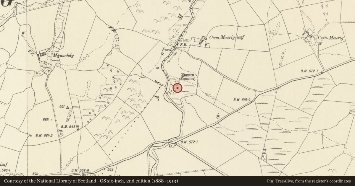 Ordnance Survey six-inch map, 2nd edition (1888–1913) covering the location of Cwm-Meurig-Isaf Mound and Bailey Castle, Ystrad Fflur, Ceredigion, with a pin at the register's coordinates