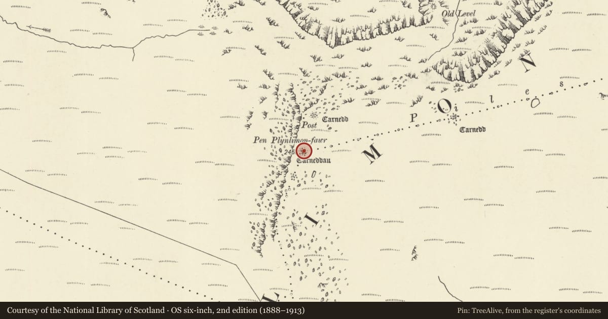 Ordnance Survey six-inch map, 2nd edition (1888–1913) covering the location of Central Cairn on Pen Plynlimon-Fawr, Blaenrheidol, Ceredigion, with a pin at the register's coordinates