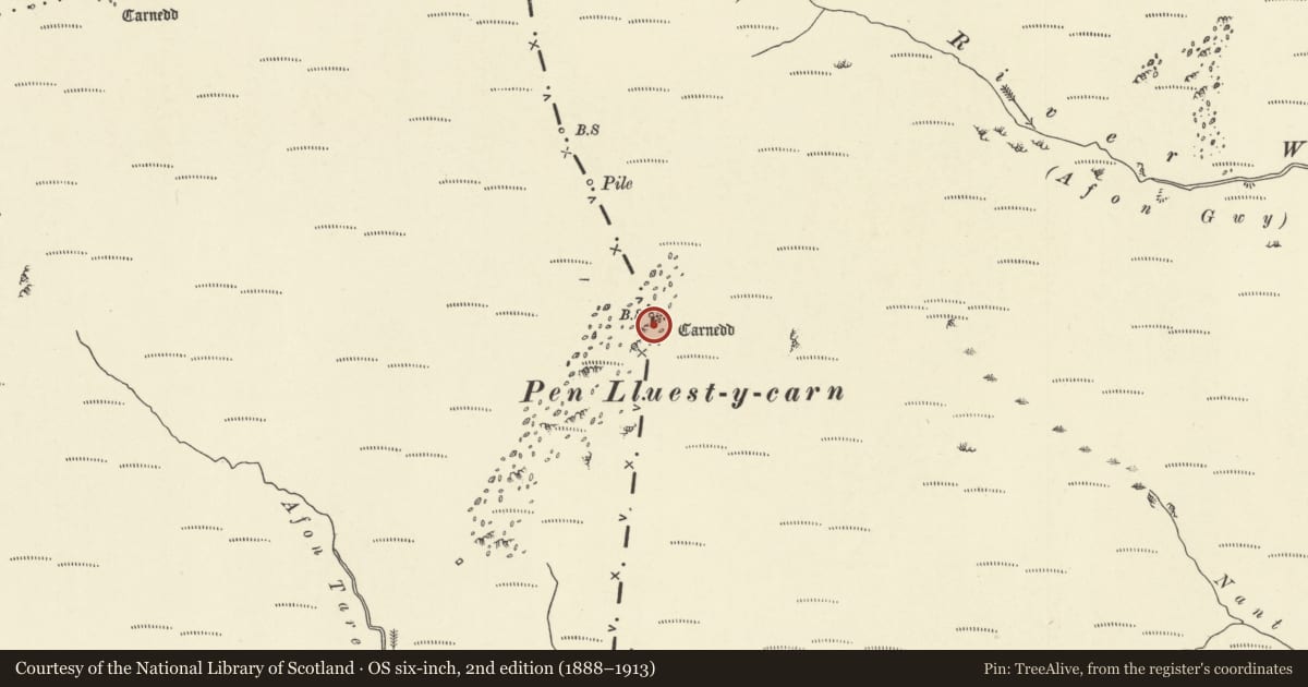 Ordnance Survey six-inch map, 2nd edition (1888–1913) covering the location of Cairn on Pen Lluest-y-Carn, Blaenrheidol, Ceredigion, with a pin at the register's coordinates