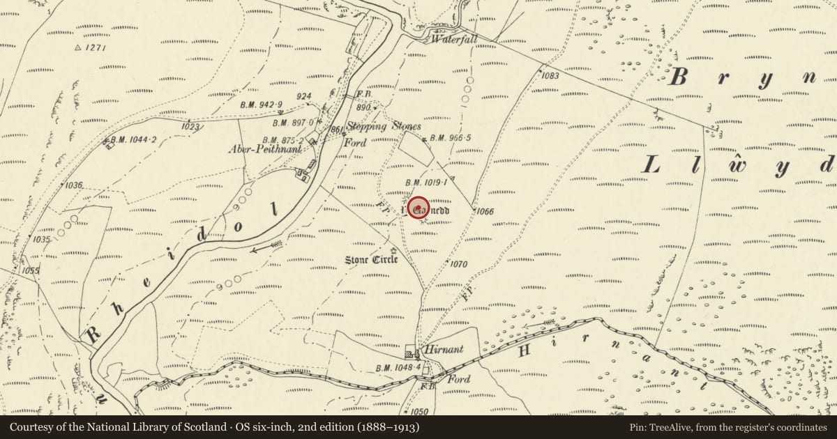 Ordnance Survey six-inch map, 2nd edition (1888–1913) covering the location of Y Garnedd, Hirnant, Blaenrheidol, Ceredigion, with a pin at the register's coordinates