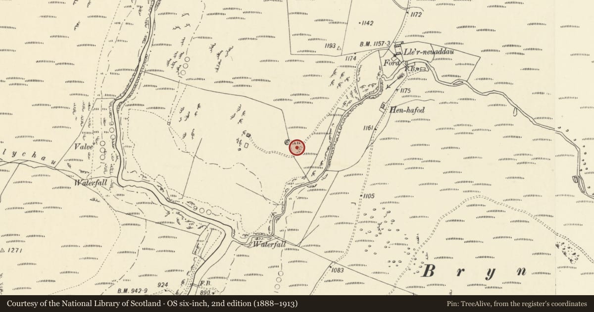 Ordnance Survey six-inch map, 2nd edition (1888–1913) covering the location of Cairn Circle 400m SW of Lle'r Neuaddau, Blaenrheidol, Ceredigion, with a pin at the register's coordinates