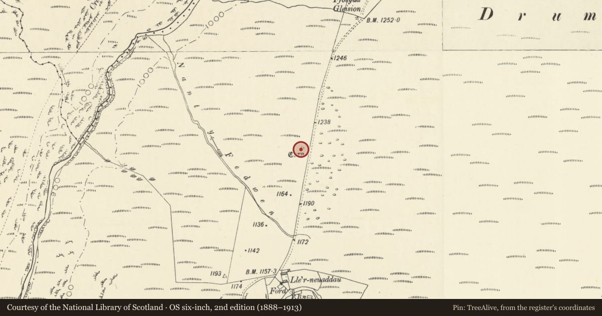 Ordnance Survey six-inch map, 2nd edition (1888–1913) covering the location of Cairn 400m N of Lle'r Neuaddau, Blaenrheidol, Ceredigion, with a pin at the register's coordinates