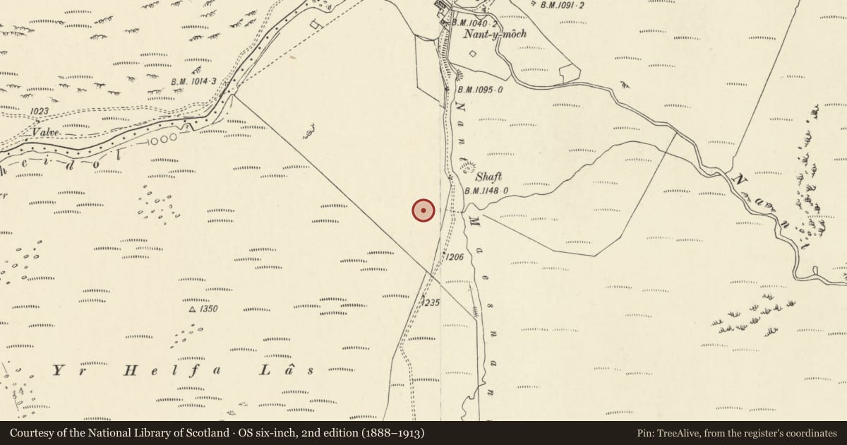 Ordnance Survey six-inch map, 2nd edition (1888–1913) covering the location of Round Barrow 290m SSW of Nant-y-Moch, Blaenrheidol, Ceredigion, with a pin at the register's coordinates