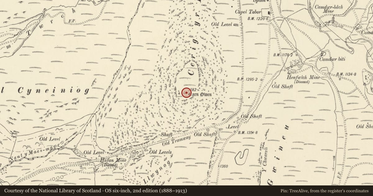 Ordnance Survey six-inch map, 2nd edition (1888–1913) covering the location of Carn Owen, Cerrig yr Hafan, Ceulanamaesmawr, Ceredigion, with a pin at the register's coordinates