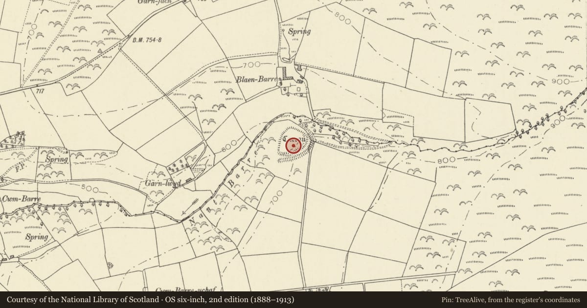 Ordnance Survey six-inch map, 2nd edition (1888–1913) covering the location of Nant Barre Caerau, Troedyraur, Ceredigion, with a pin at the register's coordinates
