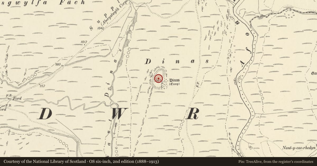 Ordnance Survey six-inch map, 2nd edition (1888–1913) covering the location of Dinas SW of Aber-Peithnant, Blaenrheidol, Ceredigion, with a pin at the register's coordinates