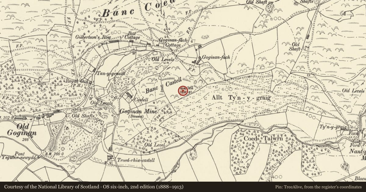Ordnance Survey six-inch map, 2nd edition (1888–1913) covering the location of Castell S of Goginan-Fach, Melindwr, Ceredigion, with a pin at the register's coordinates