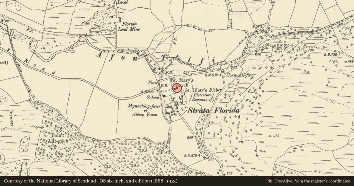 Ordnance Survey six-inch map, 2nd edition (1888–1913) covering the location of Strata Florida Churchyard Cross, Ystrad Fflur, Ceredigion, with a pin at the register's coordinates