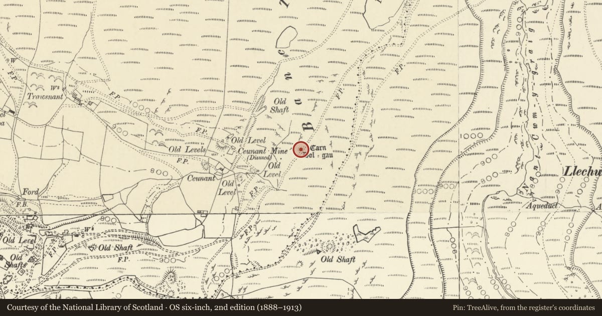 Ordnance Survey six-inch map, 2nd edition (1888–1913) covering the location of Carn Dol-Gau, Trefeurig, Ceredigion, with a pin at the register's coordinates