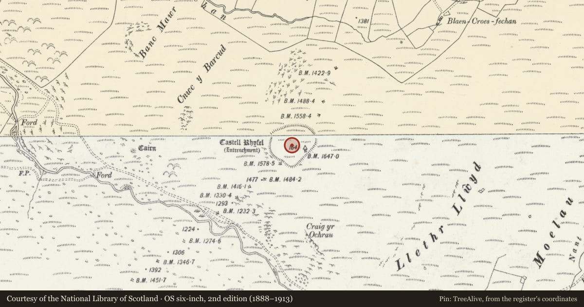 Ordnance Survey six-inch map, 2nd edition (1888–1913) covering the location of Castell Rhyfel, Tregaron, Ceredigion, with a pin at the register's coordinates