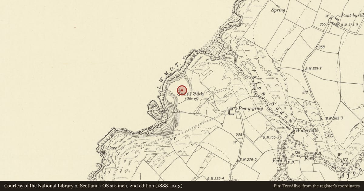 Ordnance Survey six-inch map, 2nd edition (1888–1913) covering the location of Castell Bach, Llandysiliogogo, Ceredigion, with a pin at the register's coordinates