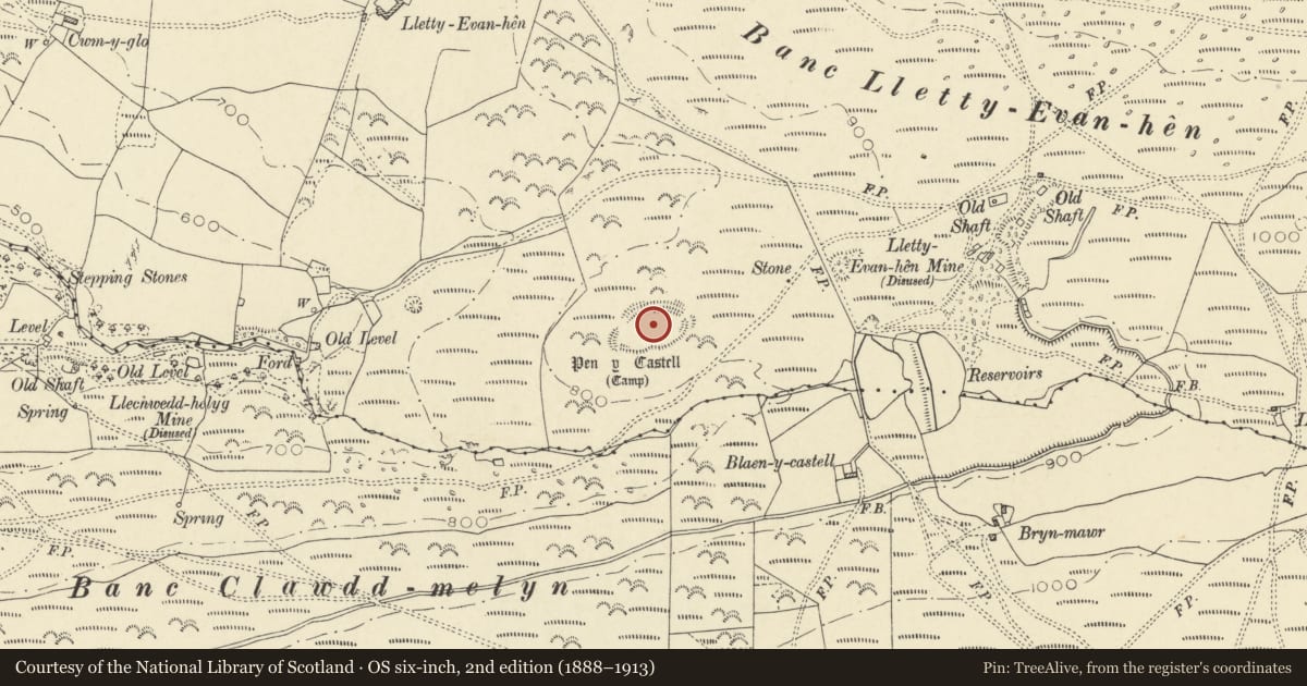 Ordnance Survey six-inch map, 2nd edition (1888–1913) covering the location of Pen y Castell, Ceulanamaesmawr, Ceredigion, with a pin at the register's coordinates
