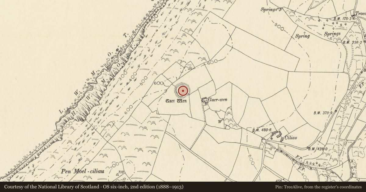 Ordnance Survey six-inch map, 2nd edition (1888–1913) covering the location of Gaer Wen, Llangrannog, Ceredigion, with a pin at the register's coordinates