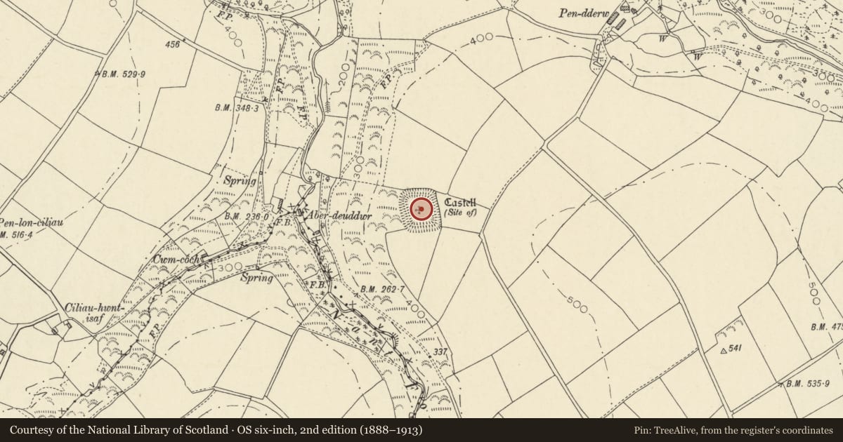 Ordnance Survey six-inch map, 2nd edition (1888–1913) covering the location of Castell 585m NW of Pen-y-Rhiw, Llandysiliogogo, Ceredigion, with a pin at the register's coordinates