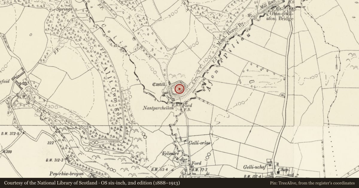 Ordnance Survey six-inch map, 2nd edition (1888–1913) covering the location of Castell Nantperchellan, Cardigan, Ceredigion, with a pin at the register's coordinates