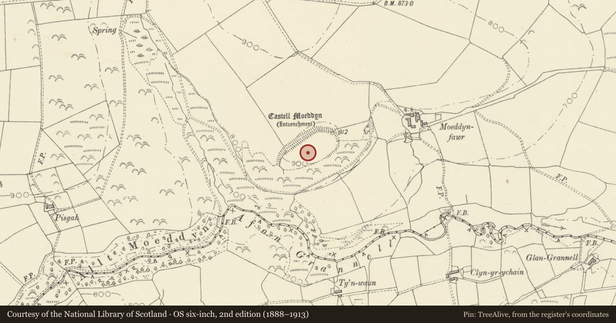 Ordnance Survey six-inch map, 2nd edition (1888–1913) covering the location of Castell Moeddyn, Llanarth, Ceredigion, with a pin at the register's coordinates