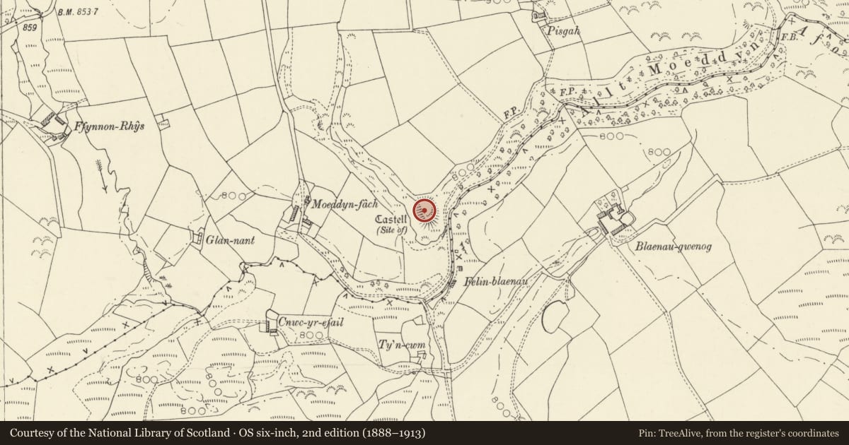 Ordnance Survey six-inch map, 2nd edition (1888–1913) covering the location of Castell 270m E of Moeddyn-Fach, Llanarth, Ceredigion, with a pin at the register's coordinates